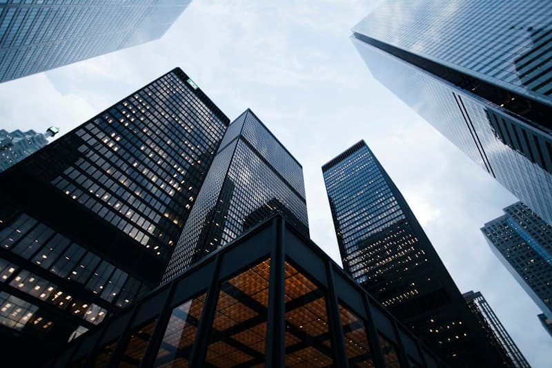 Company Law